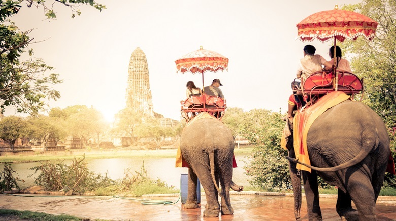 2頭の象へ乗って歩く景色/タイ