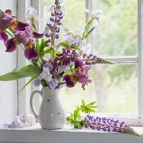 花と窓辺